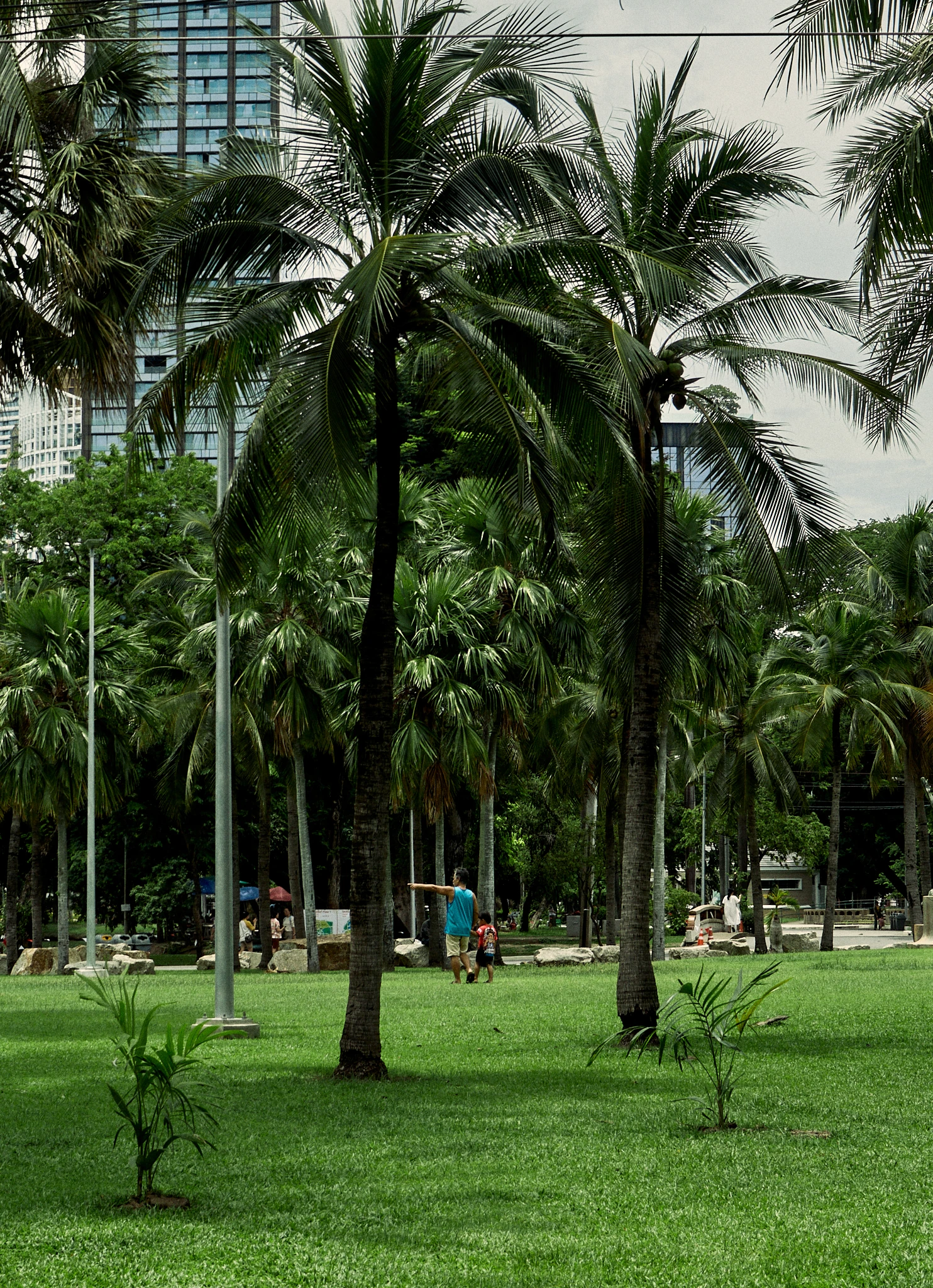 Bangkok 5