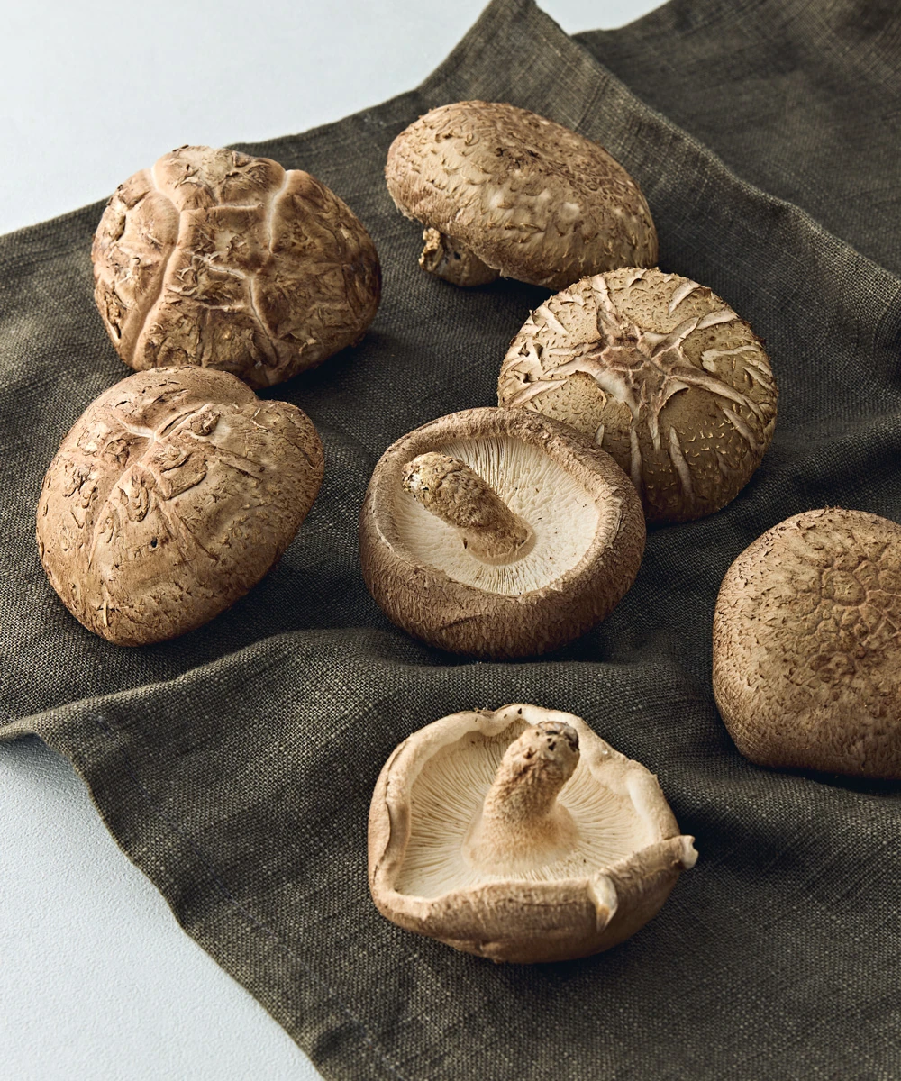 FOOD 16