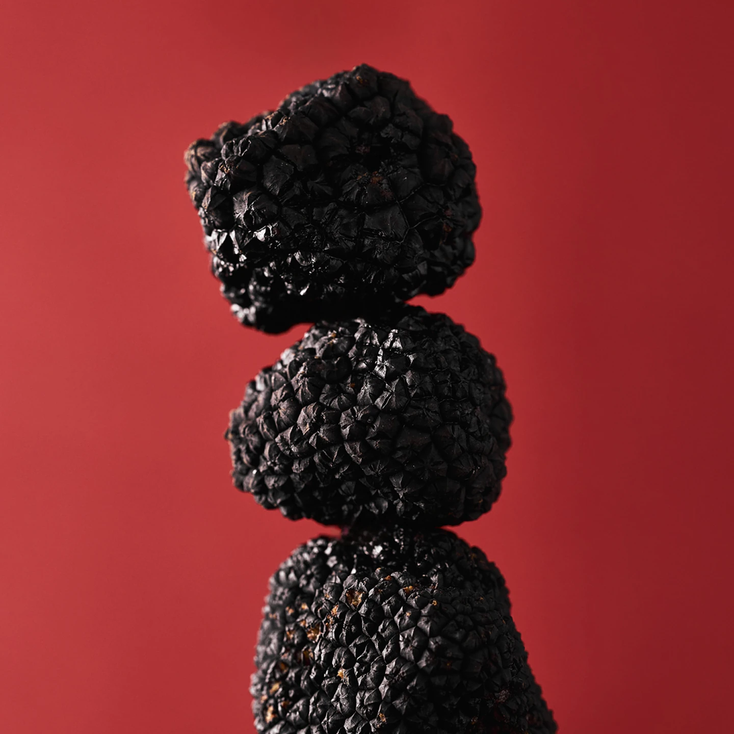 FOOD 29