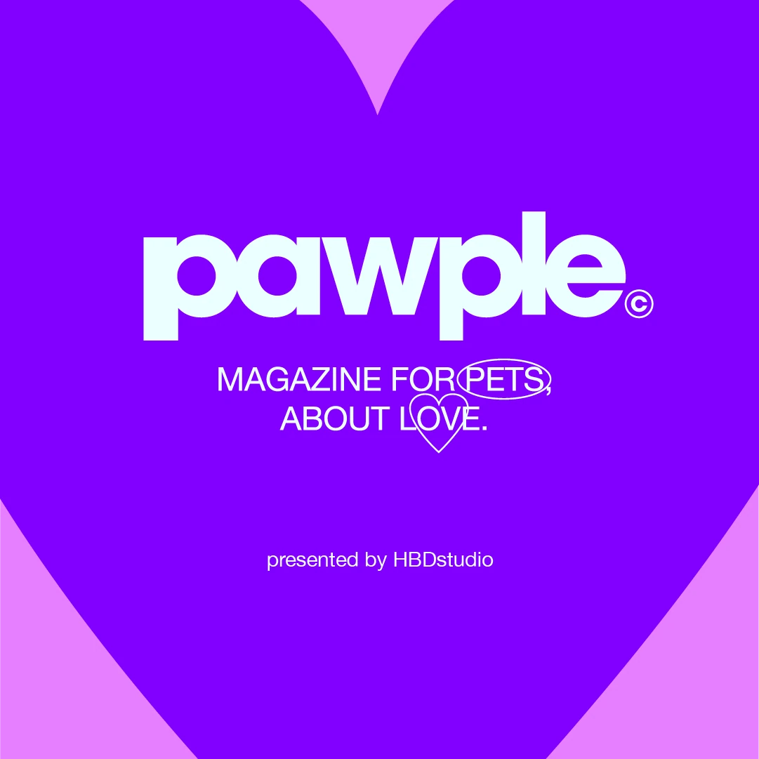 pawple 4