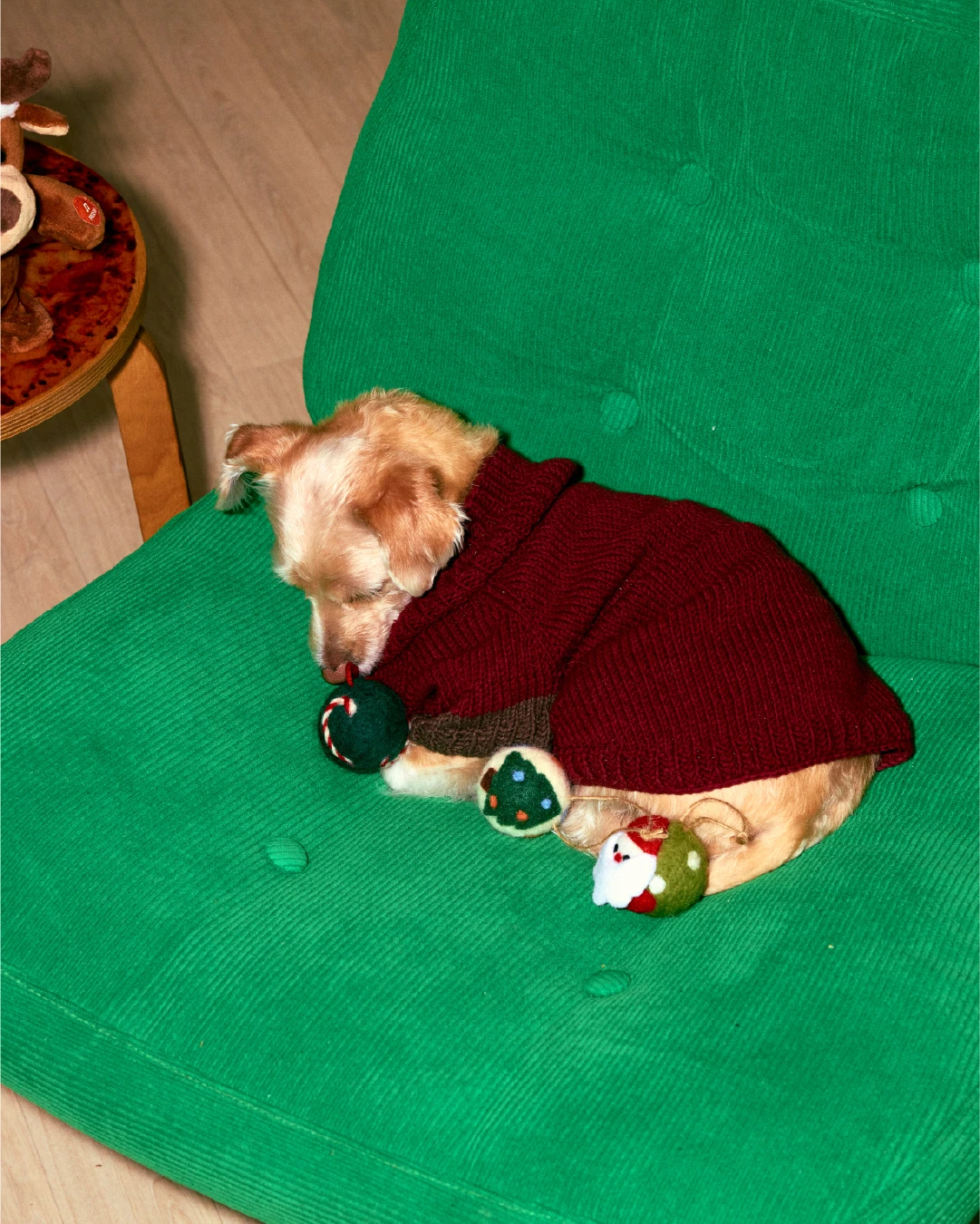 pawple 7
