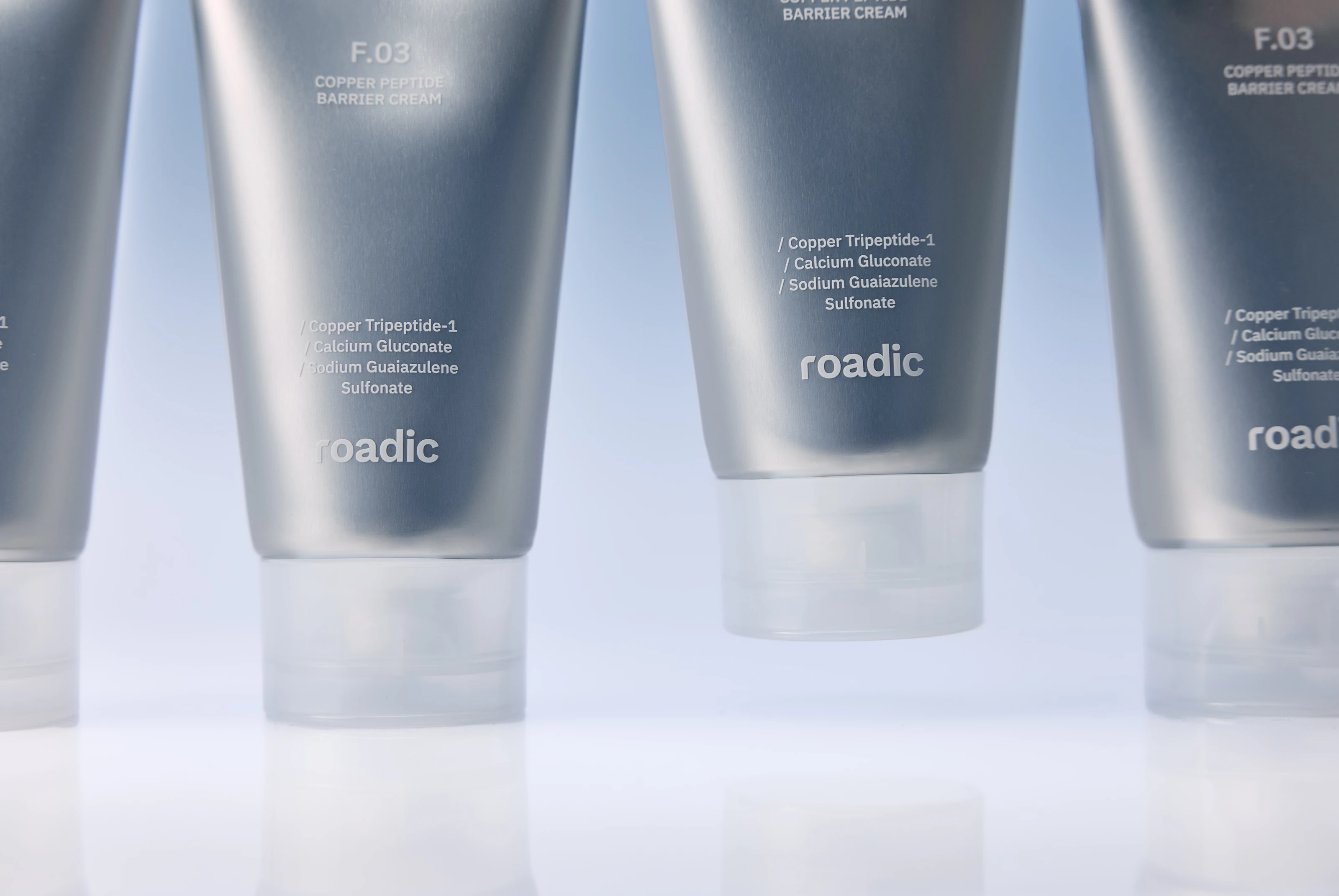 ROADIC 23